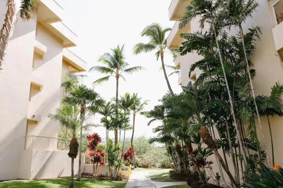 Central Kihei Gem! 3-Min Walk To The Beach & Shops Wailea  Ngoại thất bức ảnh